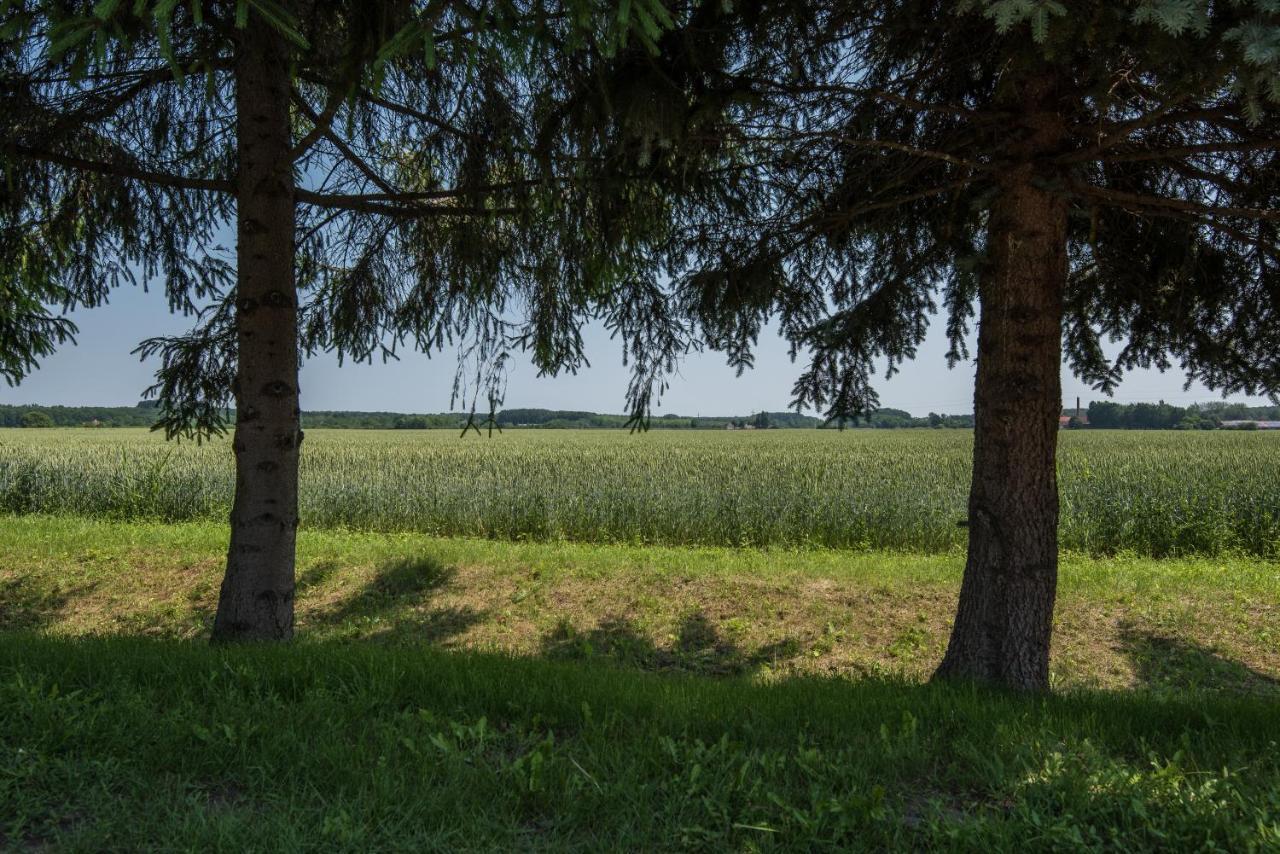Pósteleki Vendégház-Nyugalom Szigetei Gyula Exterior foto